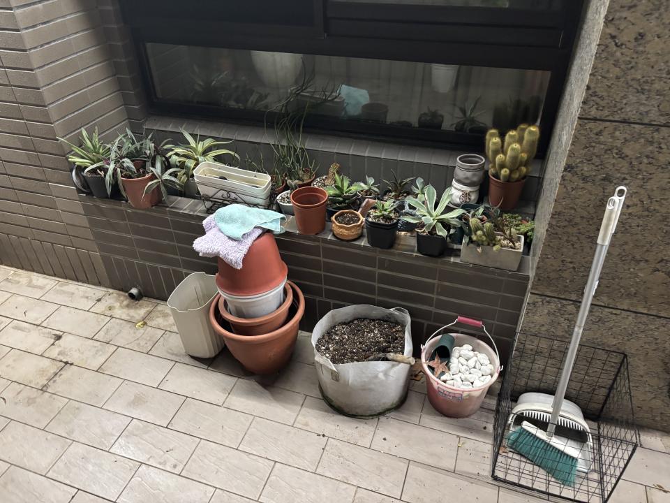 園藝設計案件圖片