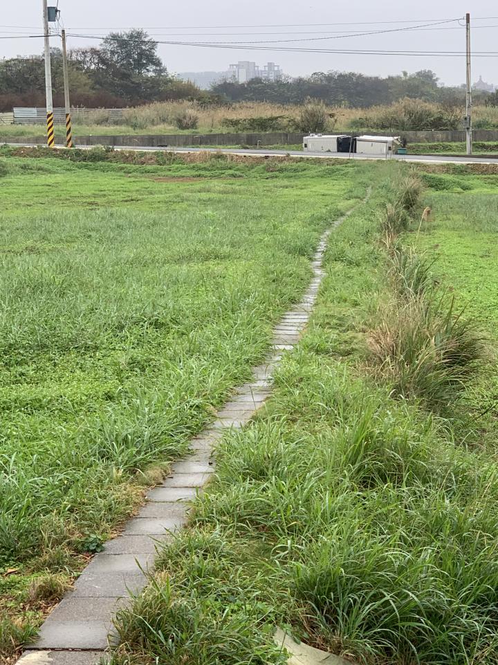 園藝維護案件圖片