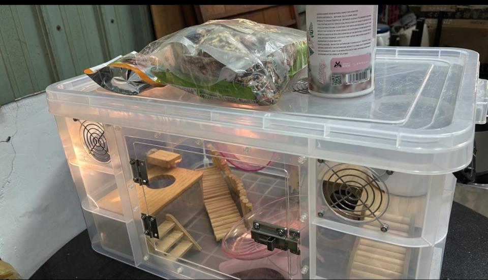 載貨運輸服務案件圖片