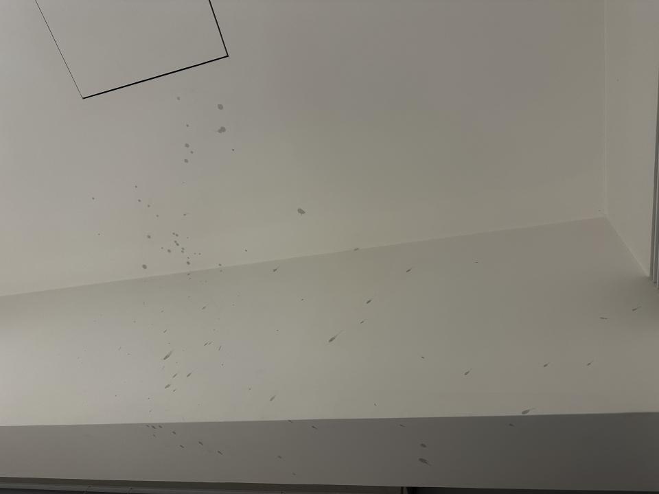 油漆工程案件圖片