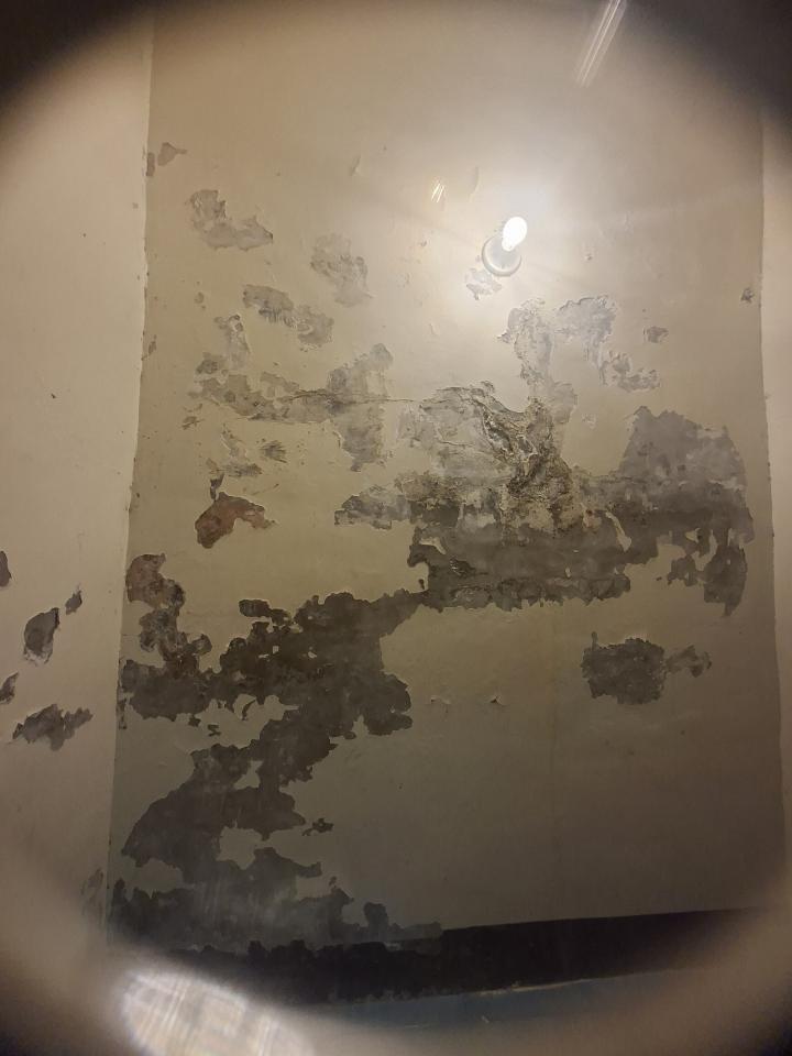 壁癌處理案件圖片