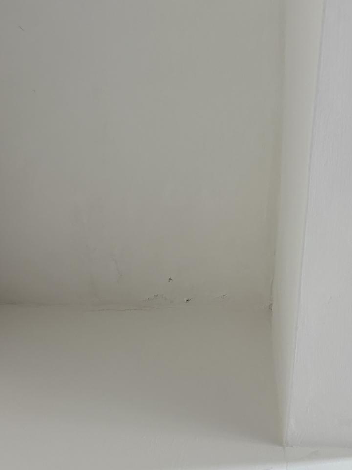 油漆工程案件圖片