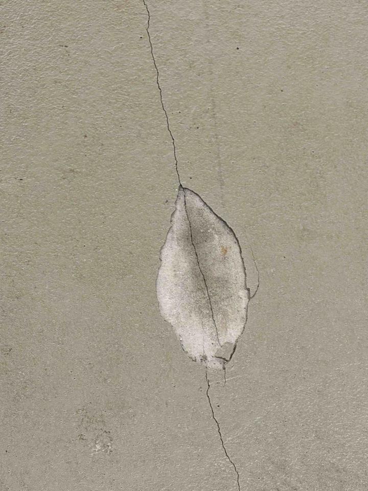 泥作/水泥施工案件圖片