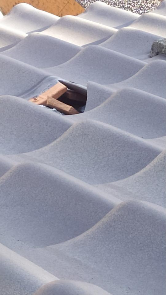 屋瓦翻修案件圖片
