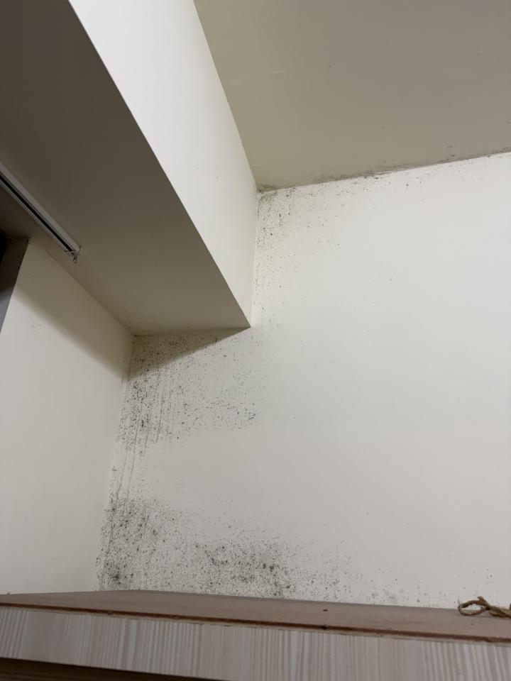 除霉案件圖片