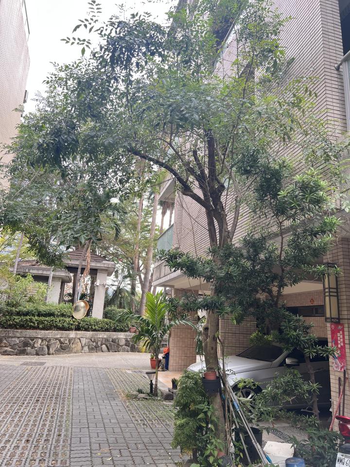 園藝維護案件圖片