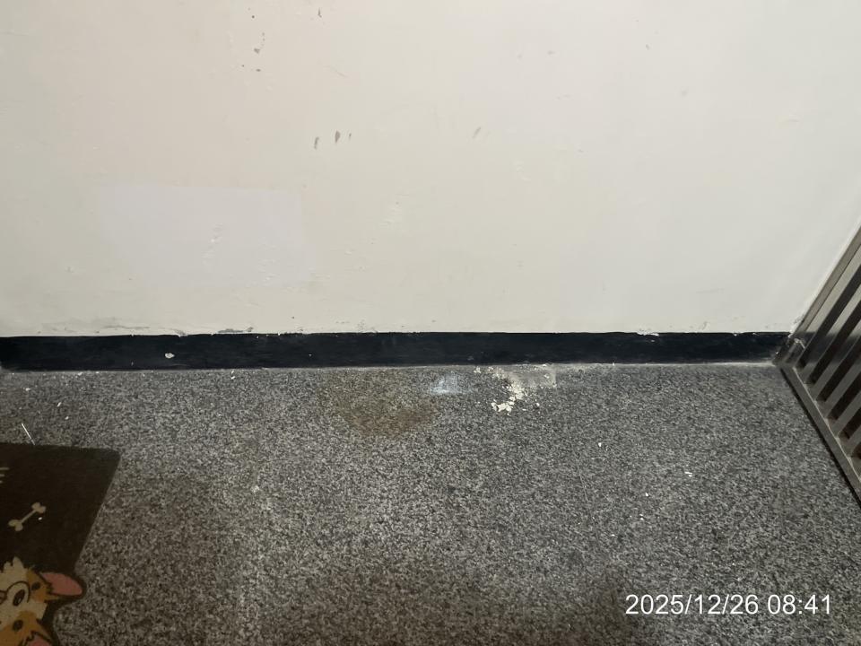 油漆工程案件圖片