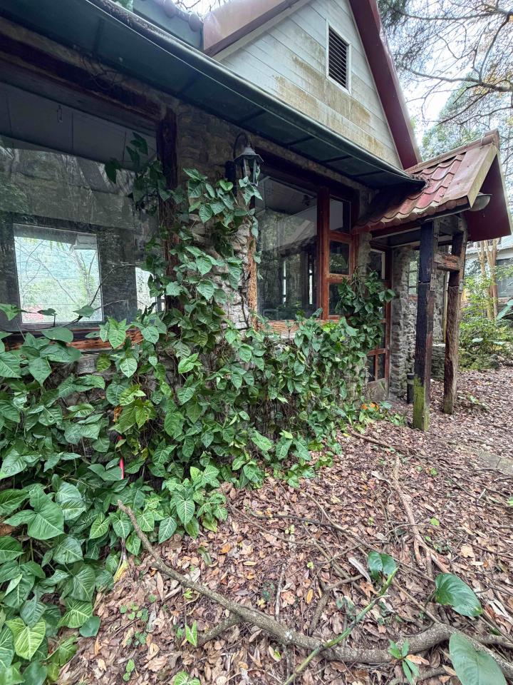 園藝維護案件圖片