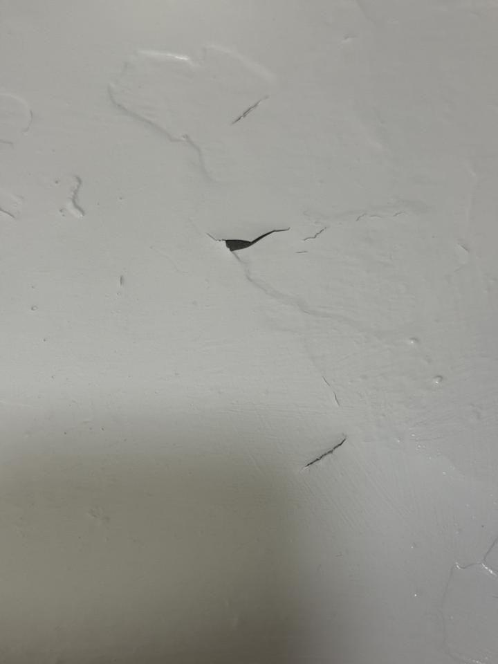 泥作/水泥施工案件圖片