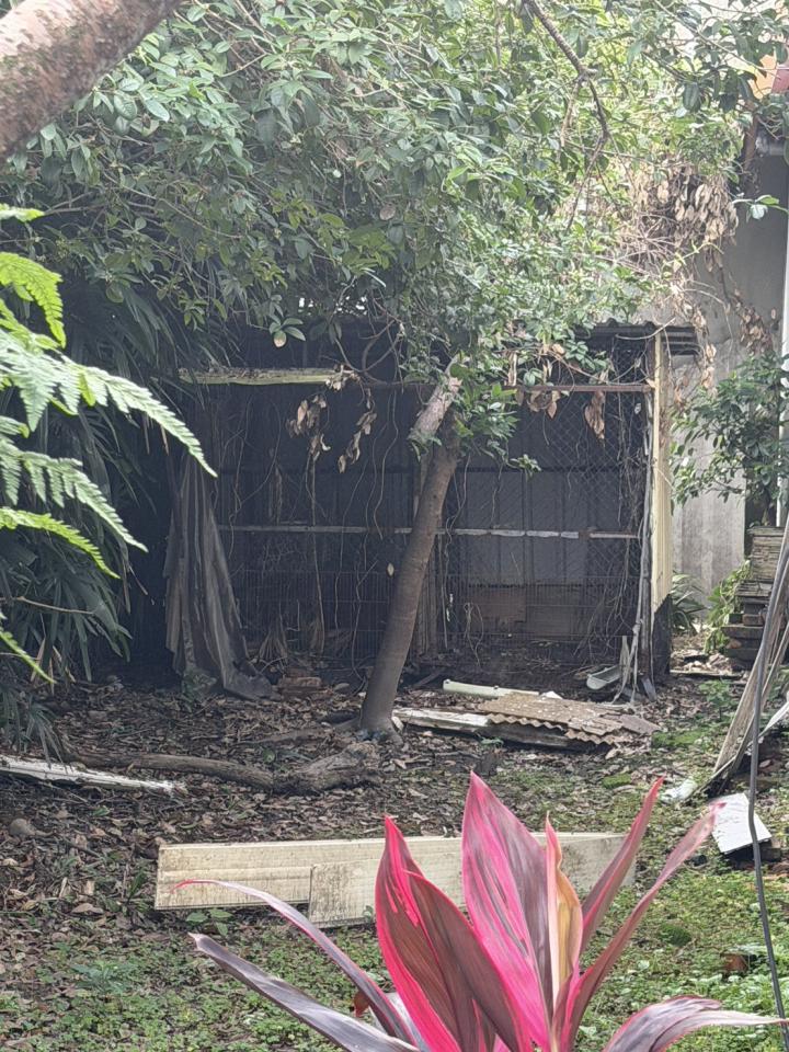 拆除工程案件圖片