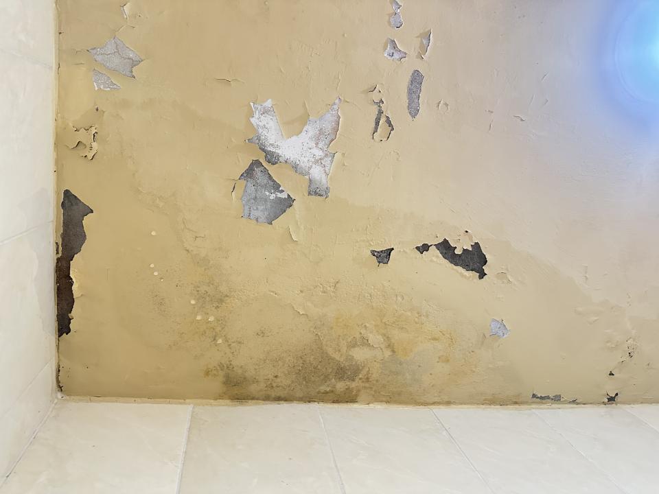 漏水處理案件圖片