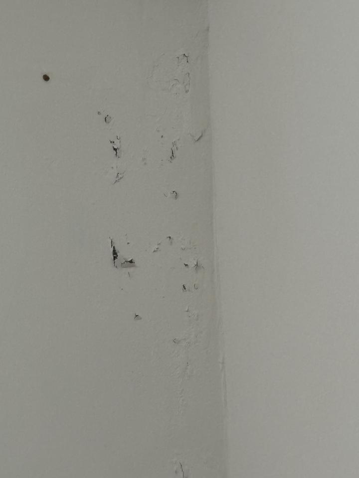 油漆工程案件圖片