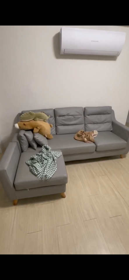 家具搬運案件圖片