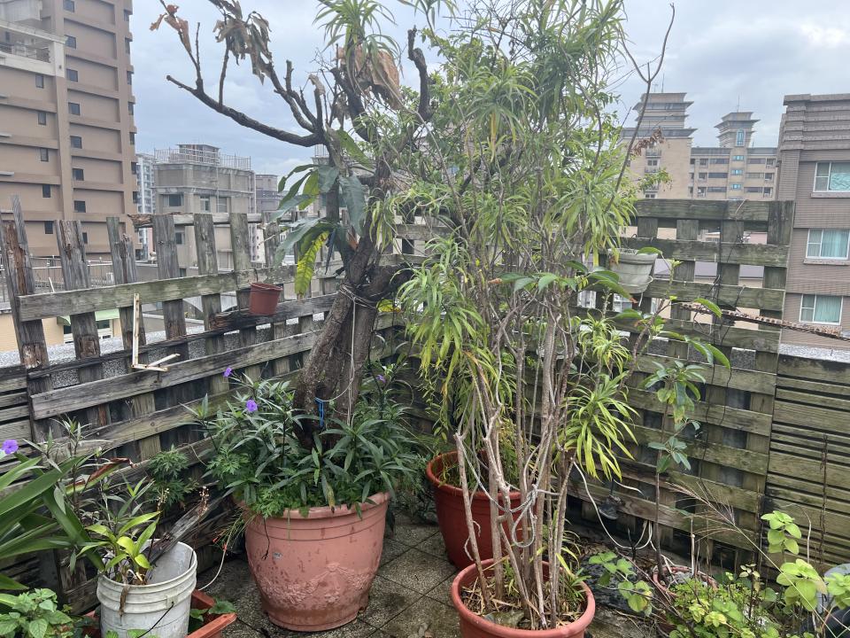 拆除工程案件圖片