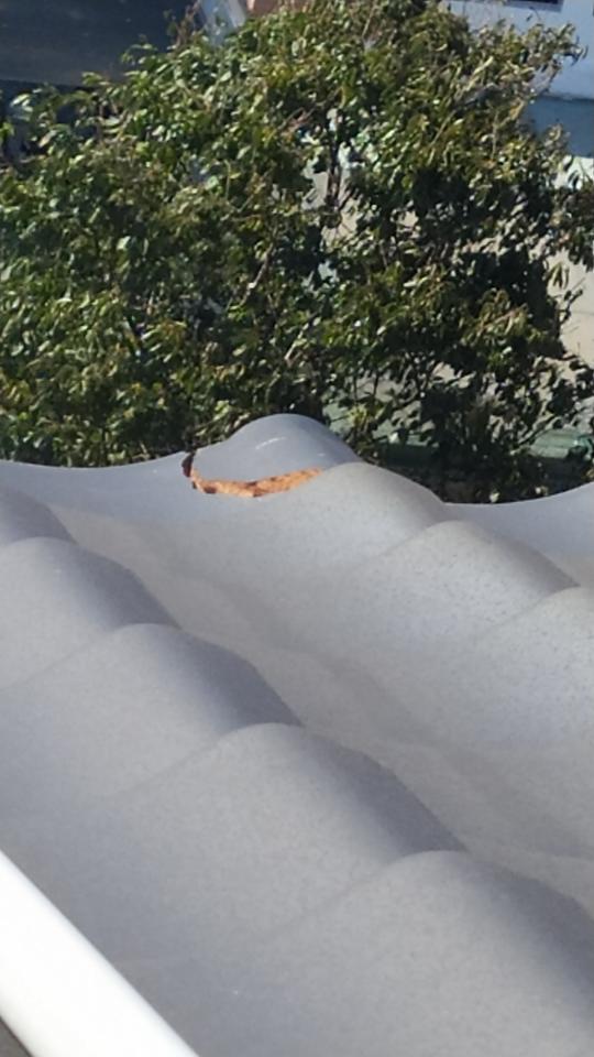 屋瓦翻修案件圖片