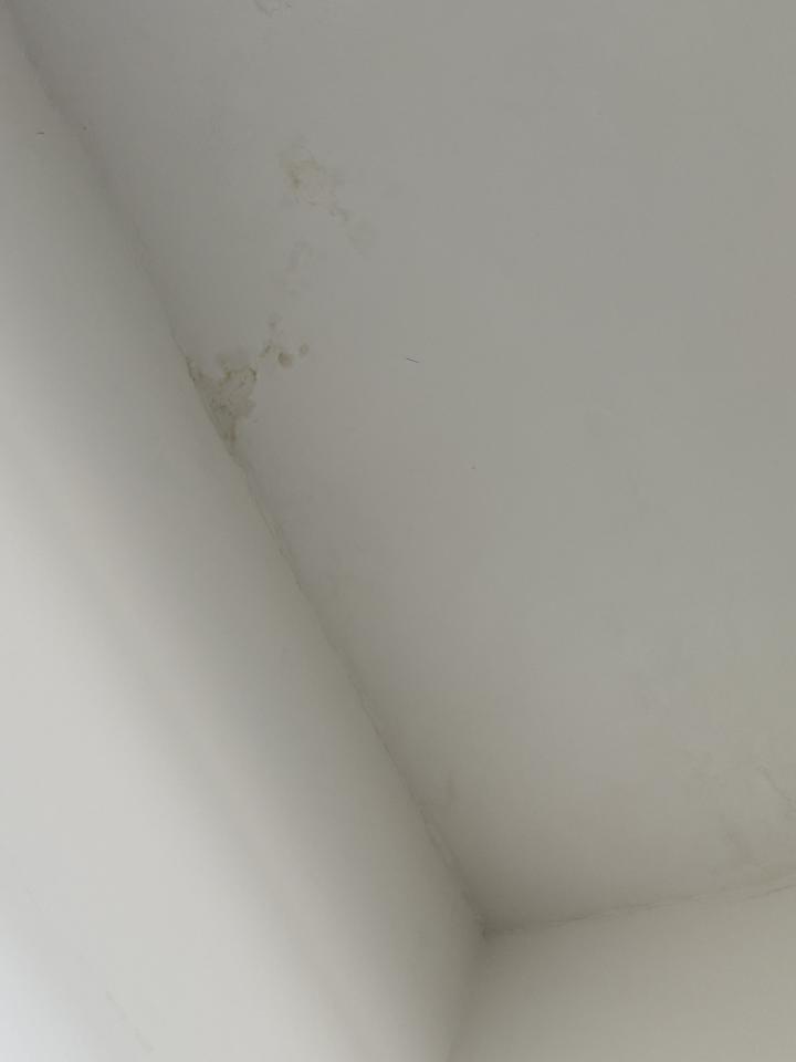 油漆工程案件圖片