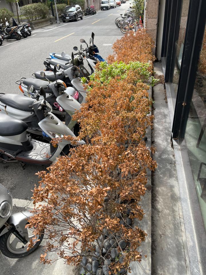 植物診療師案件圖片