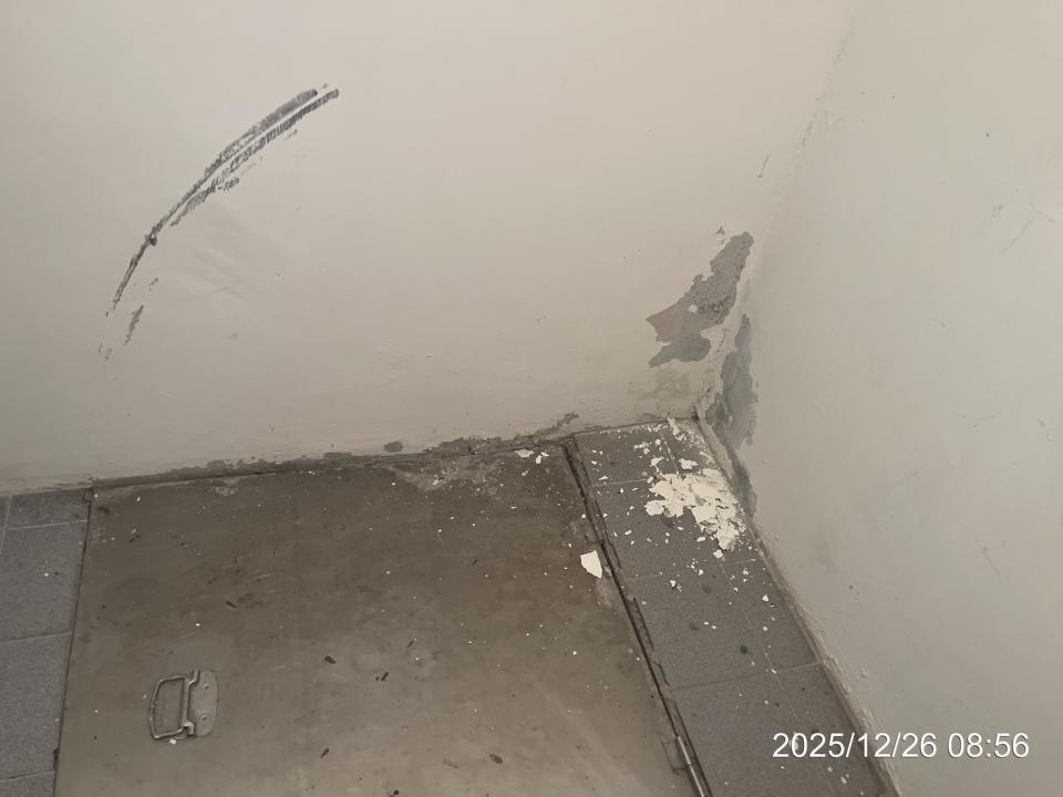 油漆工程案件圖片