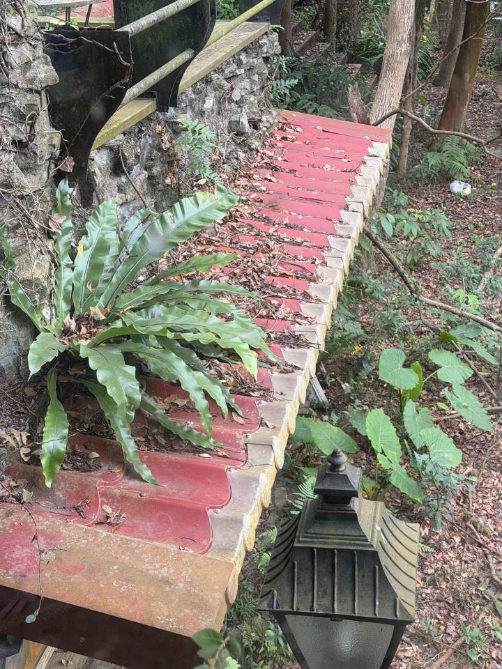 園藝維護案件圖片