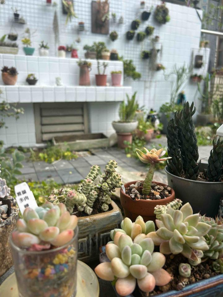 園藝設計案件圖片