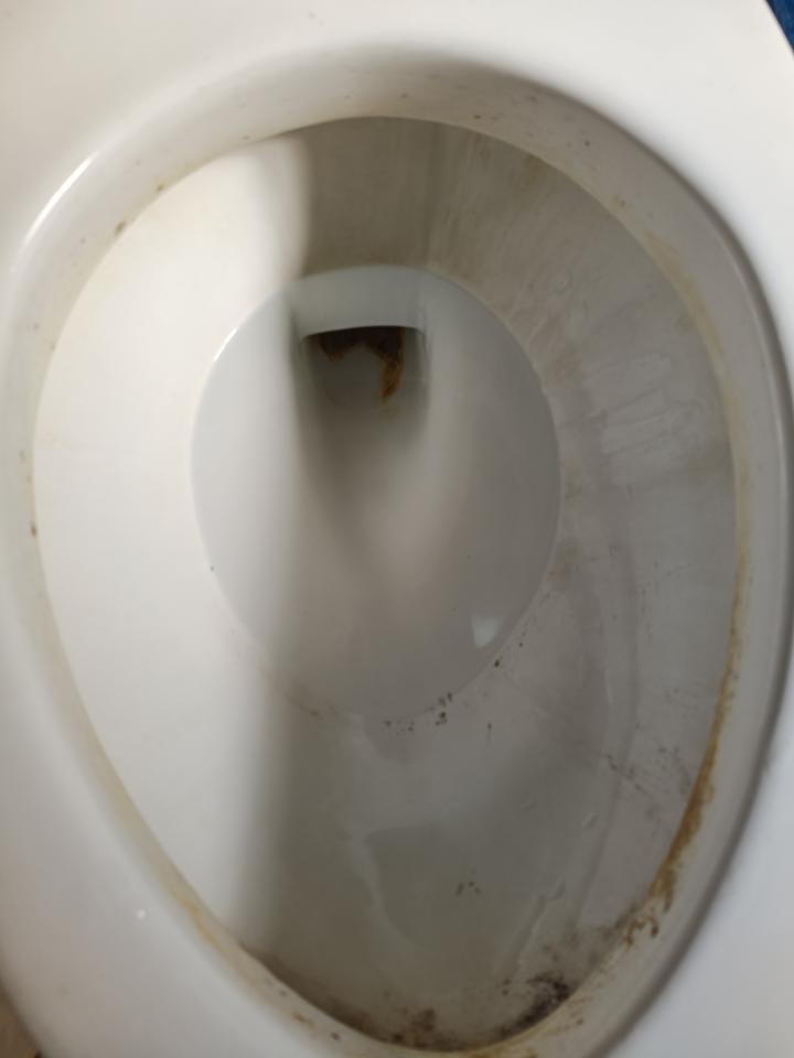 馬桶裝修案件圖片