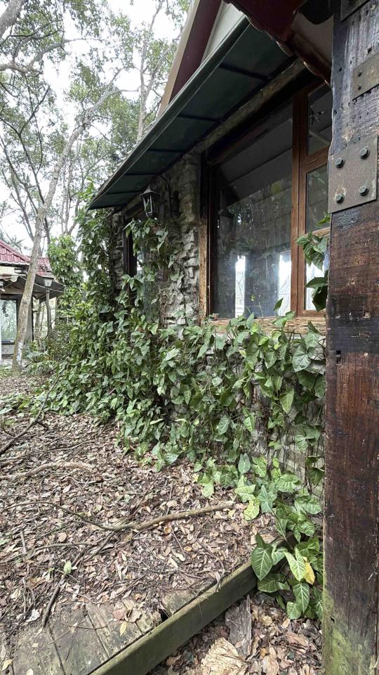 園藝維護案件圖片