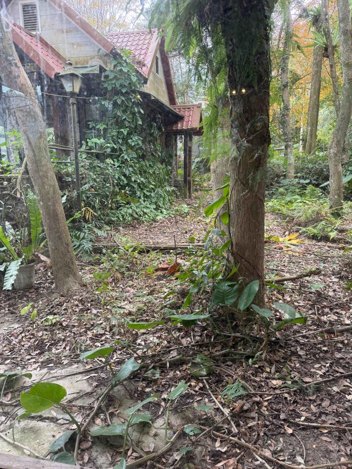 園藝維護案件圖片