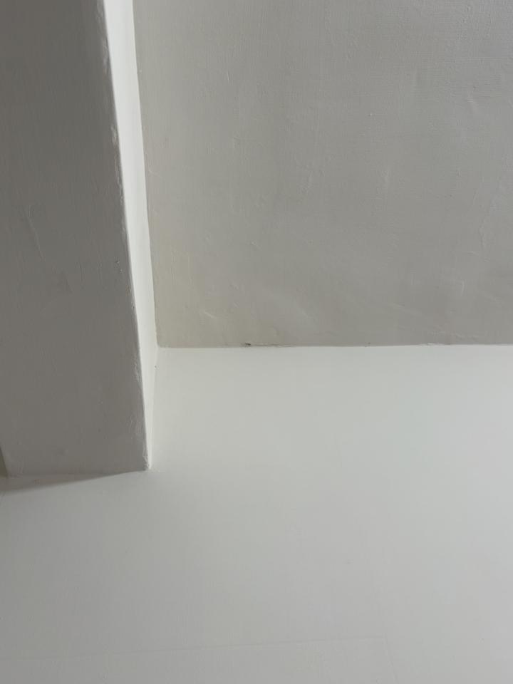 油漆工程案件圖片