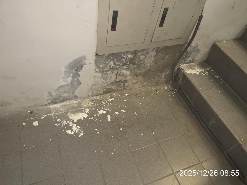 油漆工程案件圖片