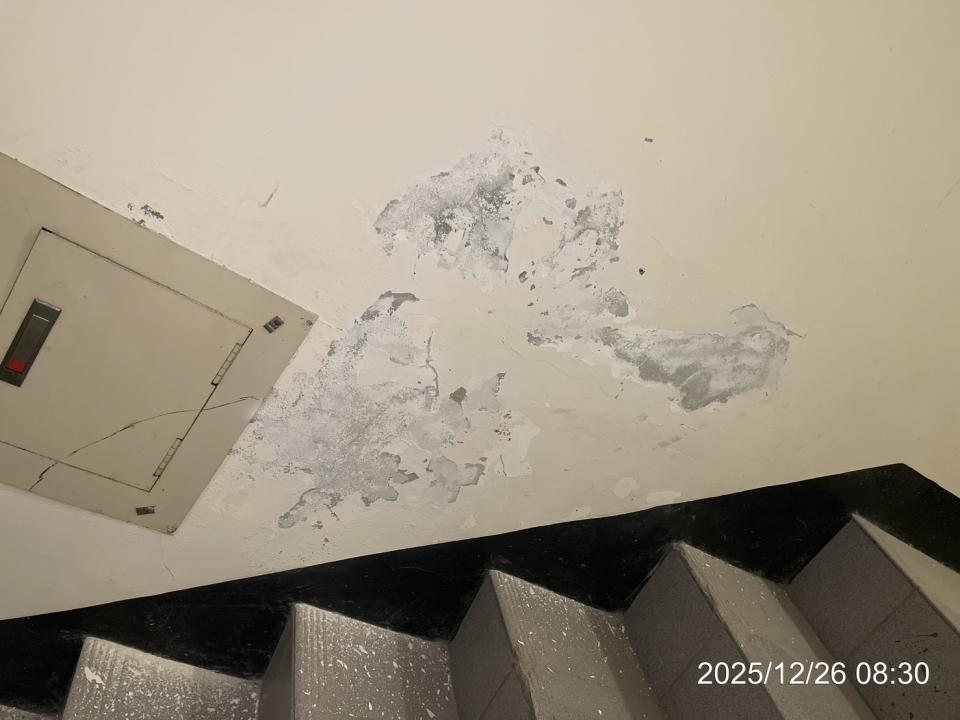 油漆工程案件圖片