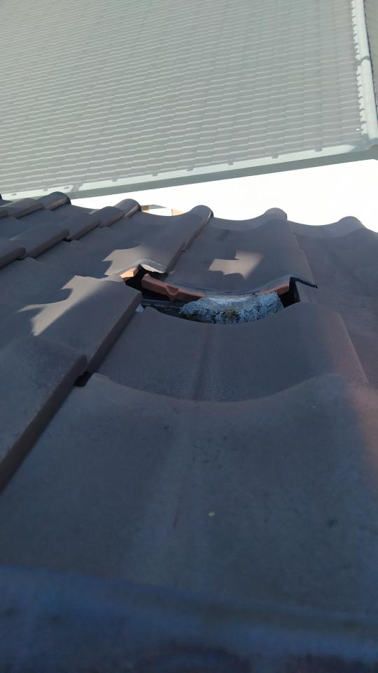 屋瓦翻修案件圖片