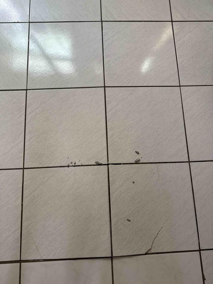 泥作/水泥施工案件圖片