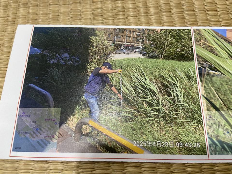 園藝維護案件圖片