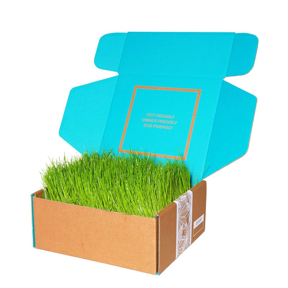 禮盒印刷案件圖片