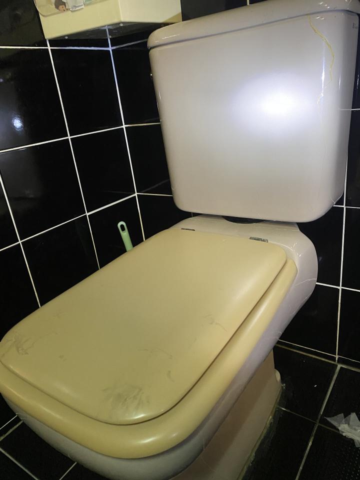 馬桶裝修案件圖片