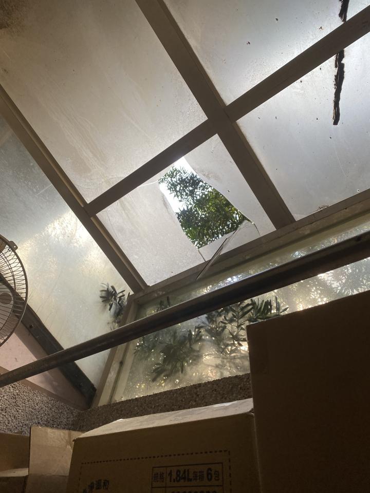 採光罩案件圖片