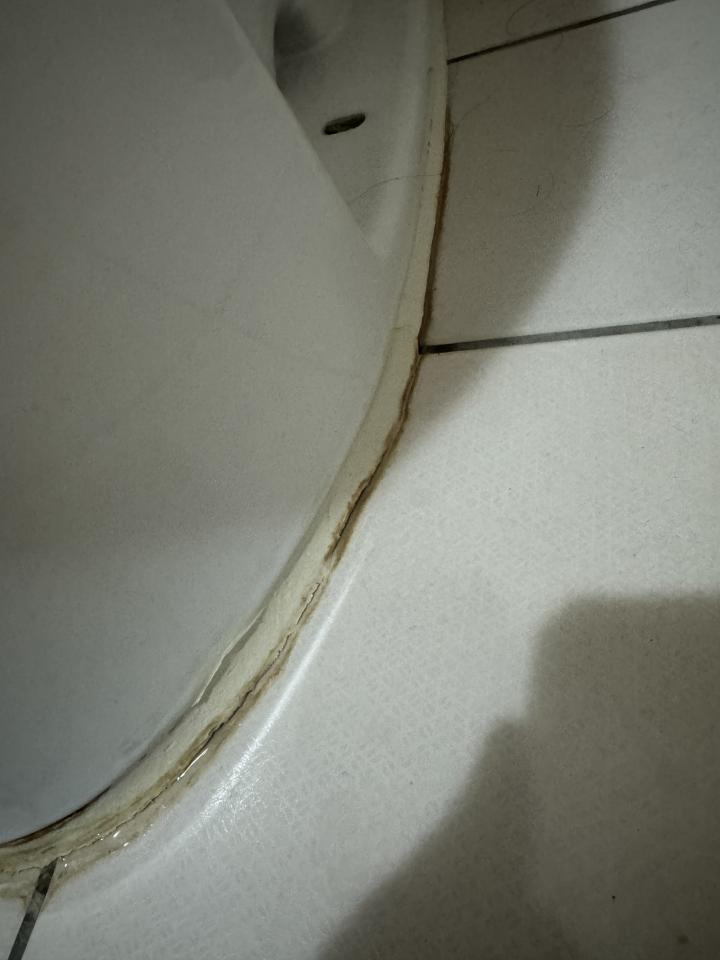 馬桶裝修案件圖片