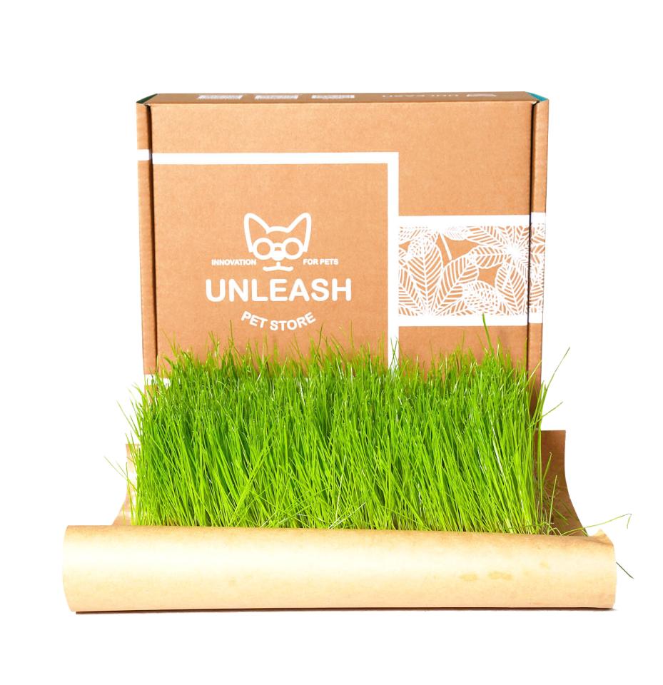 禮盒印刷案件圖片