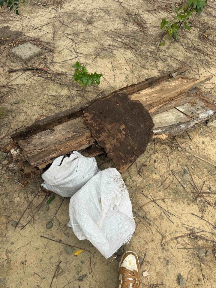 大型垃圾回收案件圖片