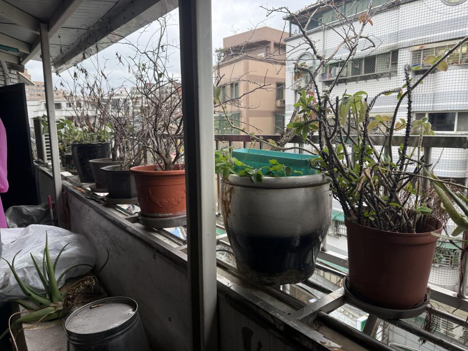 大型垃圾回收案件圖片