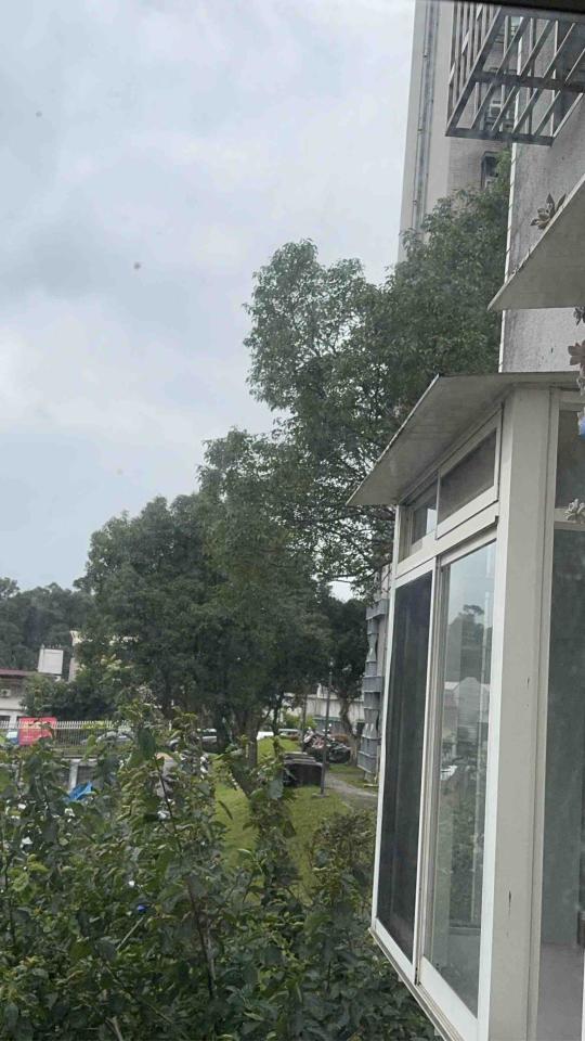 遮雨棚安裝案件圖片