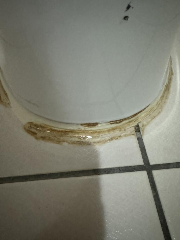 馬桶裝修案件圖片