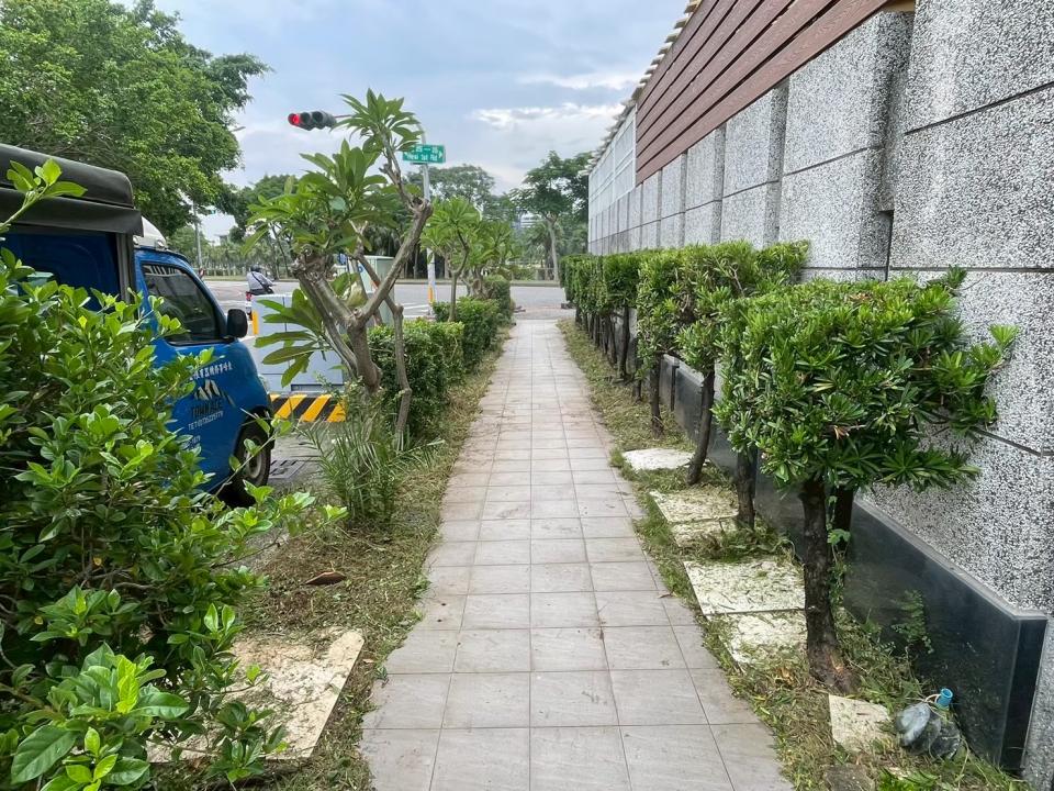 園藝維護案件圖片