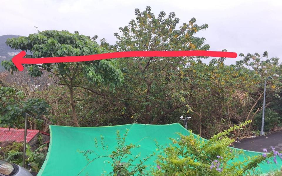 園藝維護案件圖片