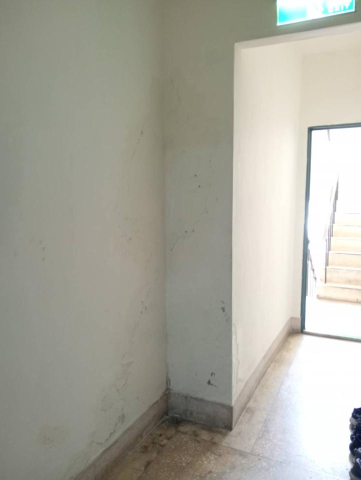 壁癌處理案件圖片