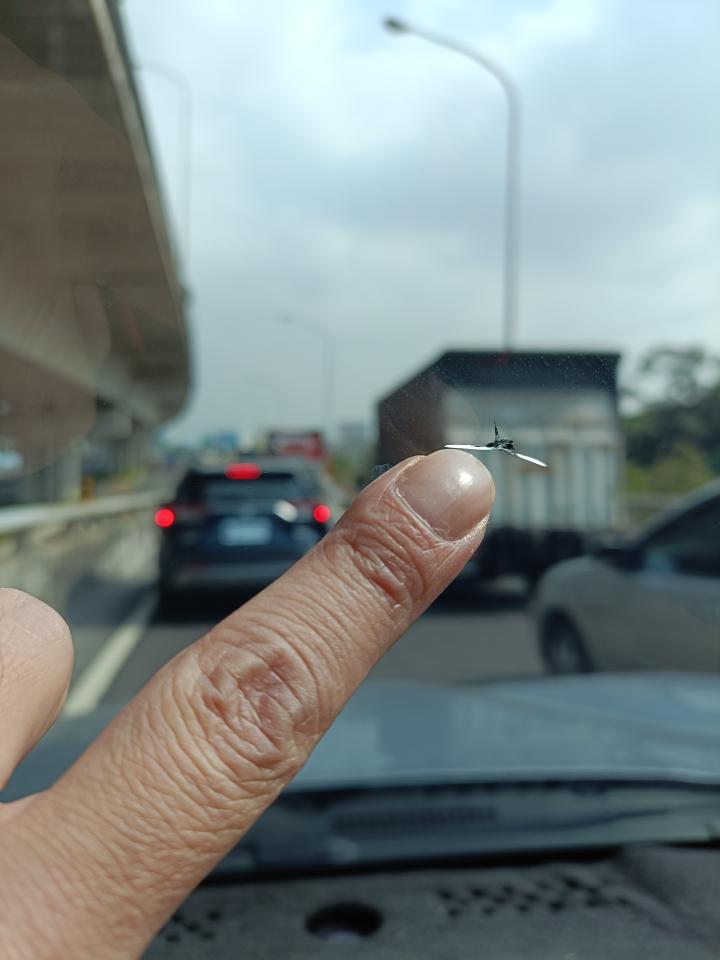 汽車玻璃修補案件圖片