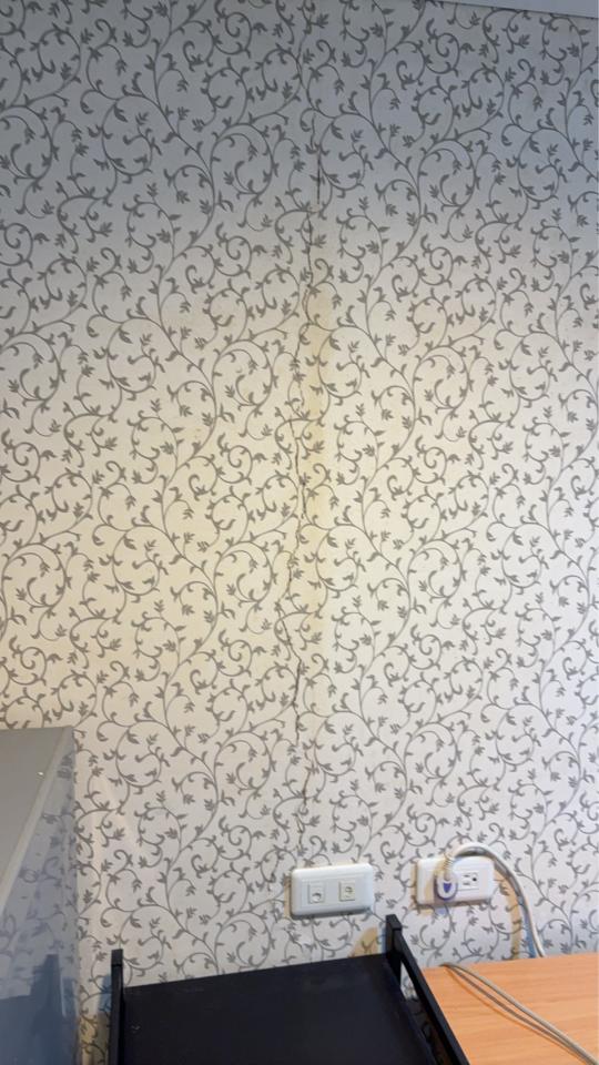 壁紙施工案件圖片