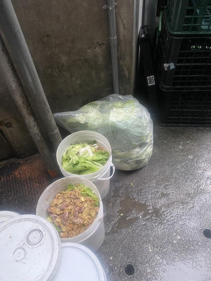 廚餘回收案件圖片