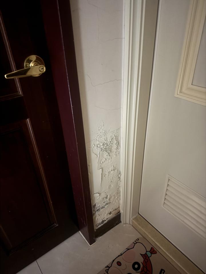 壁癌處理案件圖片