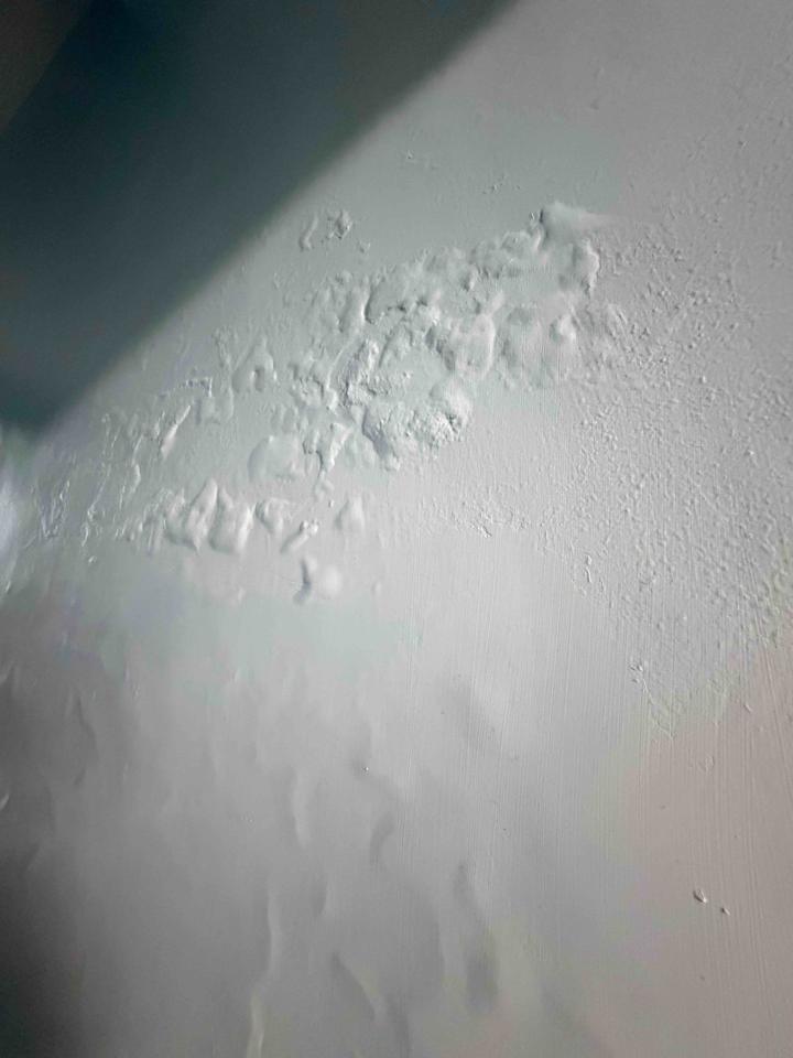 壁癌處理案件圖片